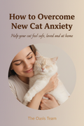 How to Overcome New Cat Anxiety